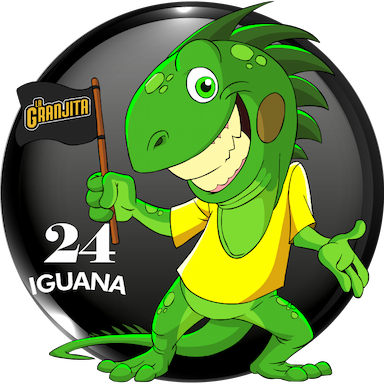 24-IGUANA